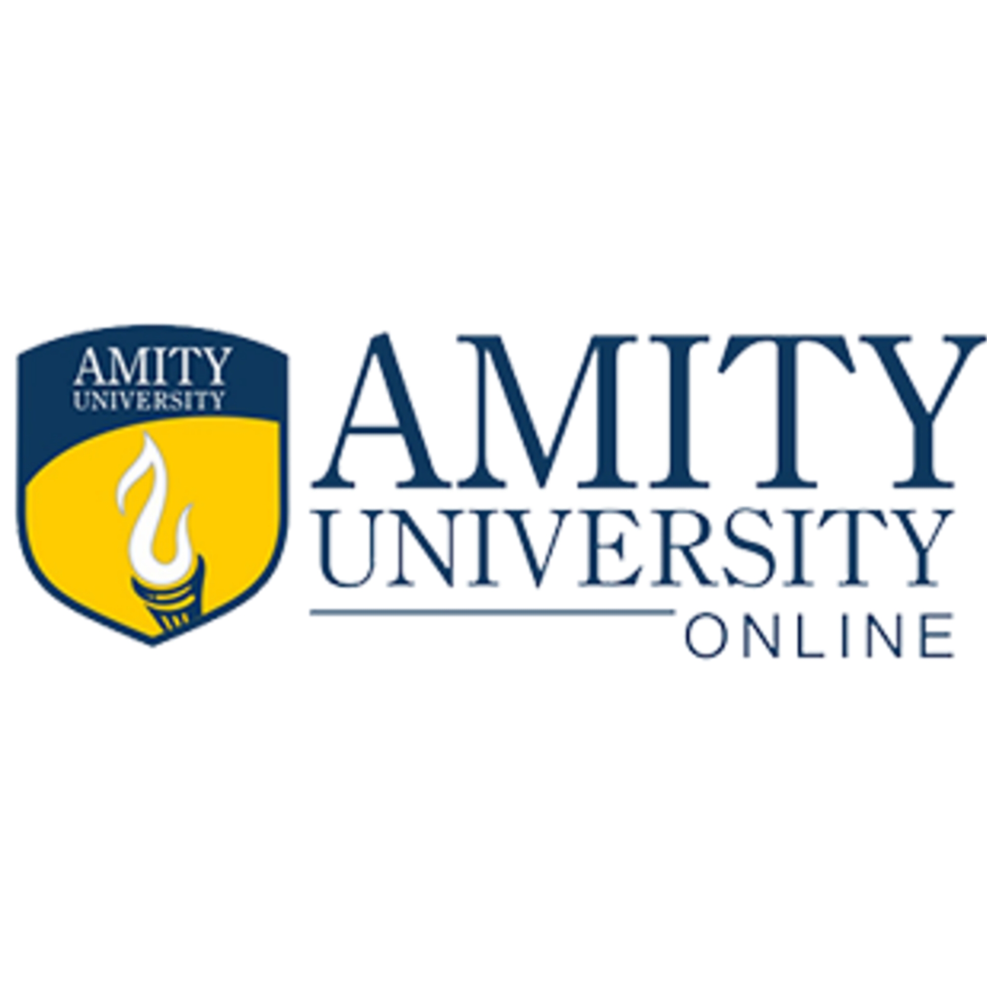 AMITY UNIVERSITY